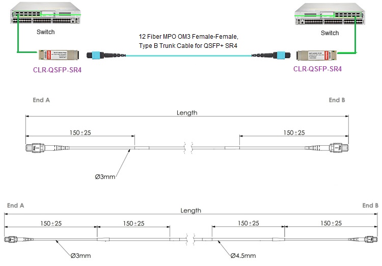 MPO trunk cable